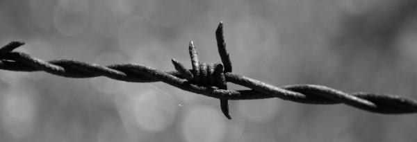 stacheldraht_sw