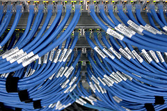 Foto eines Serverracks gefüllt mit Netzwerkswitchen