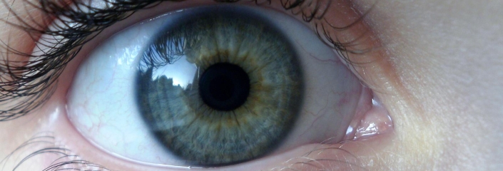 Foto eines Auges (Karen Roe - CC-BY)