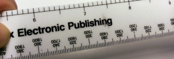Bild/Foto